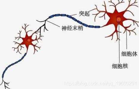 R语言中的BP神经网络模型分析学生成绩