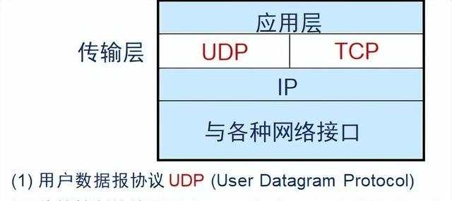 新手学电脑入门指南（计算机网络最全入门知识）