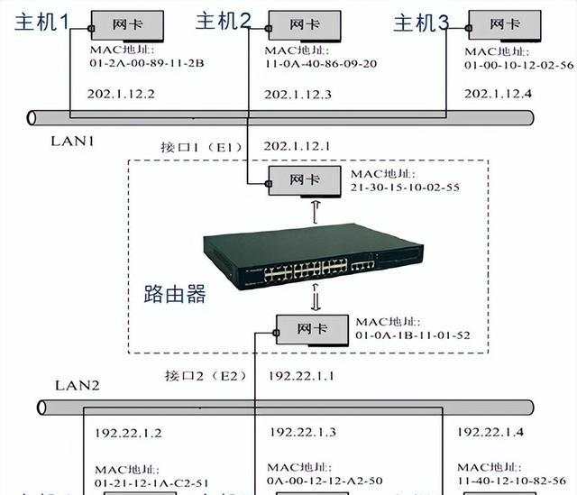 新手学电脑入门指南（计算机网络最全入门知识）