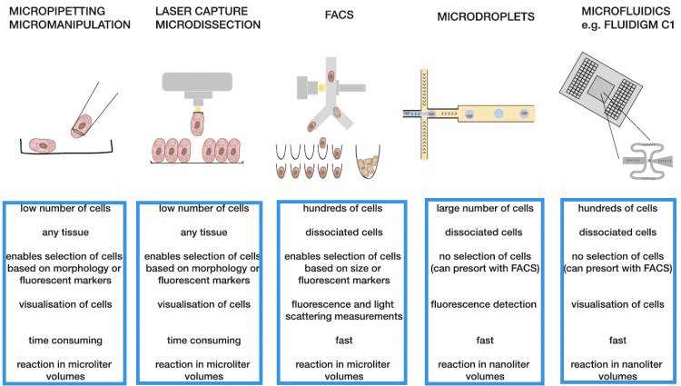 《单细胞转录组测序技术(single cell RNA-seq)及细胞分离技术分类汇总》