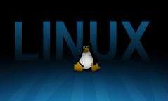 《linux内核去掉设备驱动,基于嵌入式Linux内核的系统设备驱动程序开发设计》