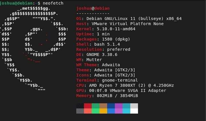 如何在 Debian 11 上安装 Neofetch