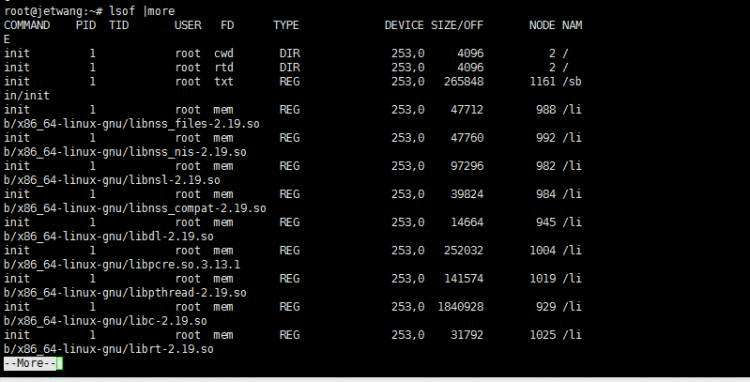 《玩玩Linux云主机-Linux看端口的占用 、linux lsof、netstat》