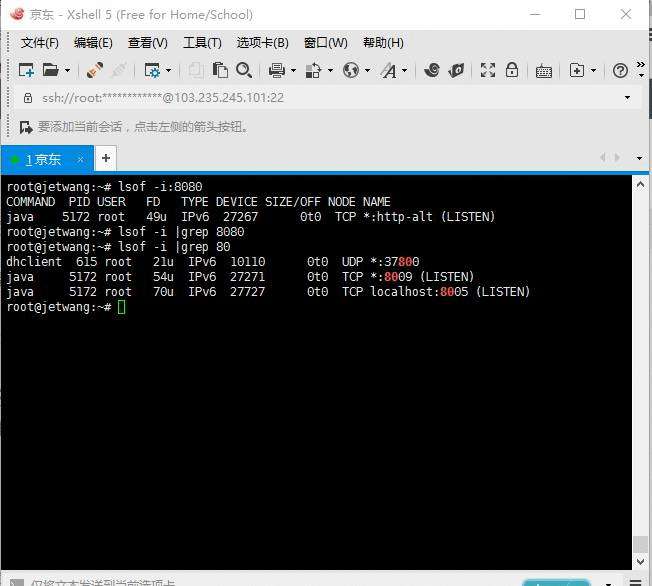 《玩玩Linux云主机-Linux看端口的占用 、linux lsof、netstat》