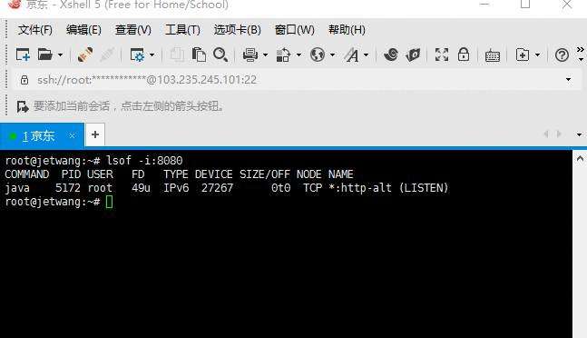 《玩玩Linux云主机-Linux看端口的占用 、linux lsof、netstat》