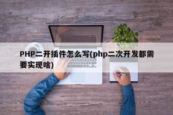 PHP二开插件怎么写(php二次开发都需要实现啥)