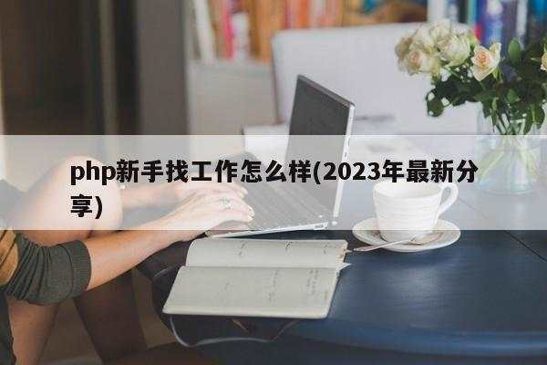 php新手找工作怎么样(2023年最新分享)